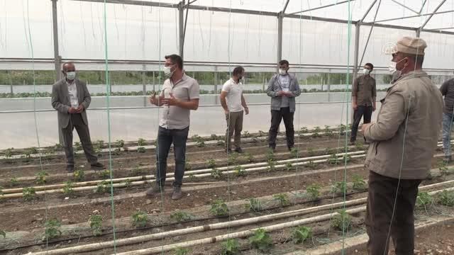 Erzincanlı ziraat mühendisi Hakkari'nin sınır ilçesindeki gönüllü çalışmalarıyla takdir topluyor Erzincanlı ziraat mühendisi Hakkari'nin sınır ilçesindeki gönüllü çalışmalarıyla takdir topluyor