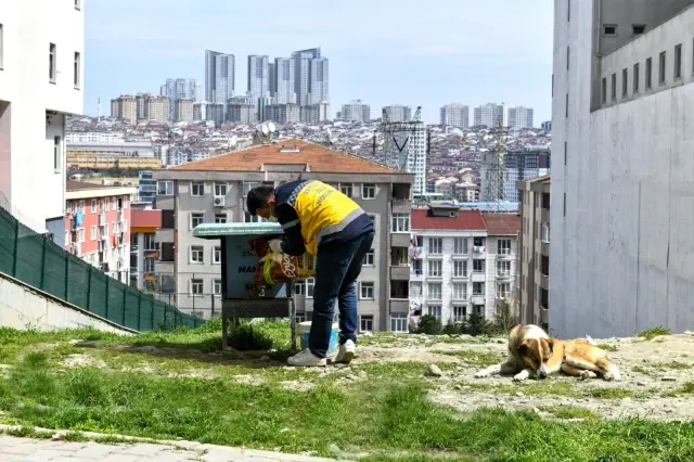 Esenyurt Belediyesi, Nisan ayında hizmetlerini artırarak devam etti Esenyurt Belediyesi, Nisan ayında hizmetlerini artırarak devam etti