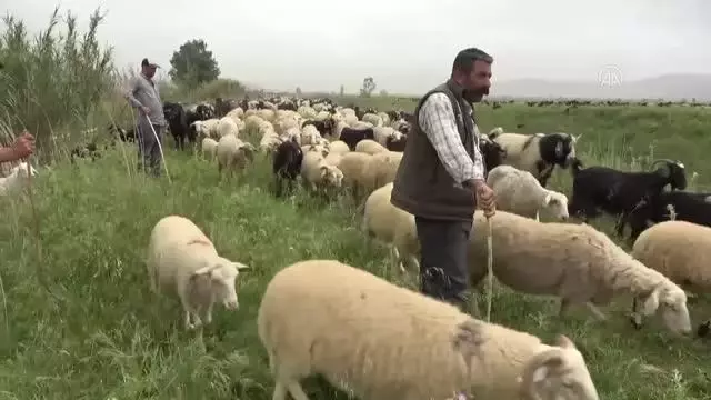 Göçerlerin yaylalara yolculuğu başladı Göçerlerin yaylalara yolculuğu başladı