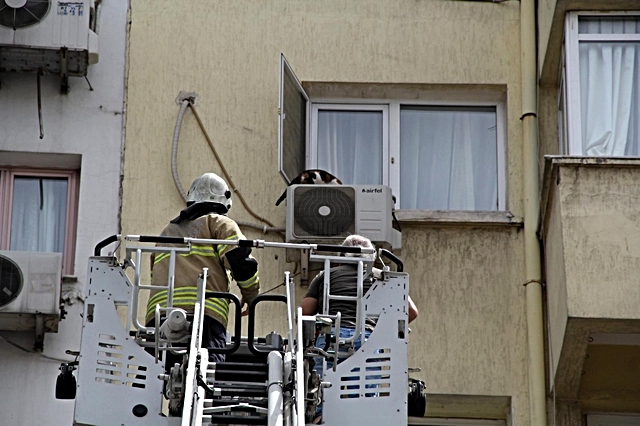 İzmir'de görme engelli kediye nefes kesen kurtarma operasyonu İzmir'de görme engelli kediye nefes kesen kurtarma operasyonu