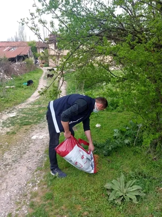 Jandarma ve polis sokak hayvanlarını unutmadı