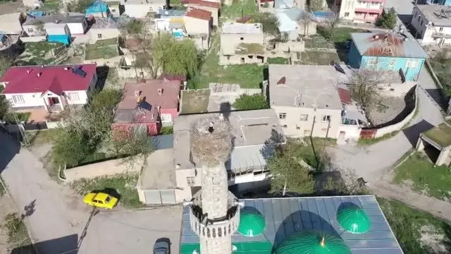 KAHRAMANMARAŞ - Çiçekli köyü camisindeki yuva leyleklerin 62 yıldır değişmeyen adresi oldu KAHRAMANMARAŞ - Çiçekli köyü camisindeki yuva leyleklerin 62 yıldır değişmeyen adresi oldu