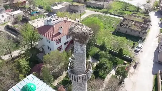 KAHRAMANMARAŞ - Çiçekli köyü camisindeki yuva leyleklerin 62 yıldır değişmeyen adresi oldu KAHRAMANMARAŞ - Çiçekli köyü camisindeki yuva leyleklerin 62 yıldır değişmeyen adresi oldu