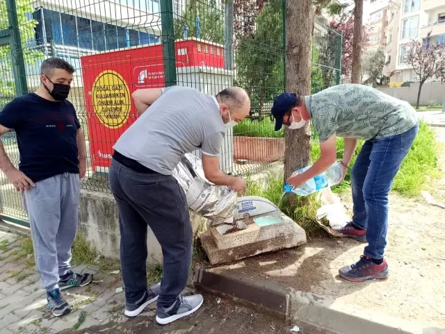 Kısıtlamada Mudanyalı gençler sokak hayvanlarını unutmadı Kısıtlamada Mudanyalı gençler sokak hayvanlarını unutmadı