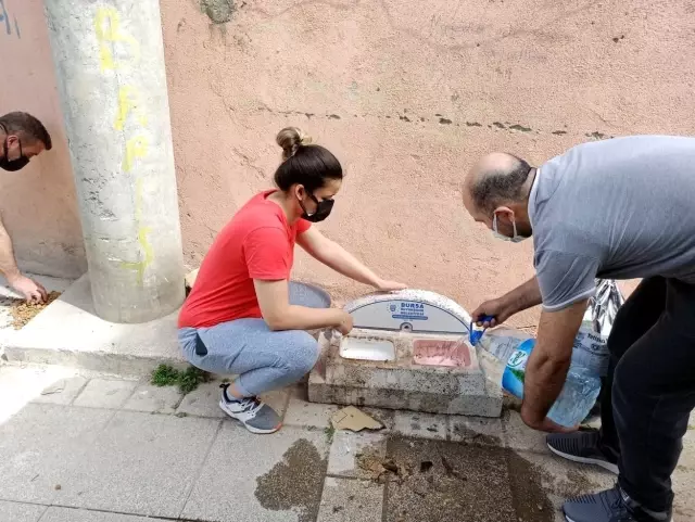 Kısıtlamada Mudanyalı gençler sokak hayvanlarını unutmadı Kısıtlamada Mudanyalı gençler sokak hayvanlarını unutmadı