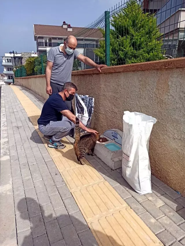 Kısıtlamada Mudanyalı gençler sokak hayvanlarını unutmadı Kısıtlamada Mudanyalı gençler sokak hayvanlarını unutmadı