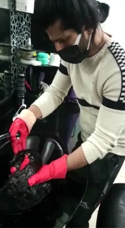 kurtarilan yavru kediyi berber dukkaninda sac 5 14105042 o