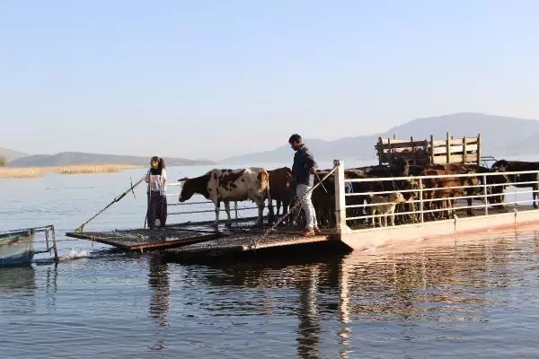 ISPARTA MADA ADASI'NDA YAŞAYANLARININ SALLA YAYLAYA GÖÇÜ BAŞLADI ISPARTA MADA ADASI'NDA YAŞAYANLARININ SALLA YAYLAYA GÖÇÜ BAŞLADI
