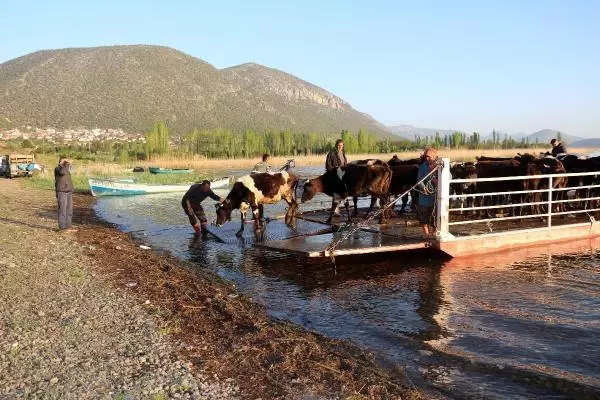 ISPARTA MADA ADASI'NDA YAŞAYANLARININ SALLA YAYLAYA GÖÇÜ BAŞLADI ISPARTA MADA ADASI'NDA YAŞAYANLARININ SALLA YAYLAYA GÖÇÜ BAŞLADI