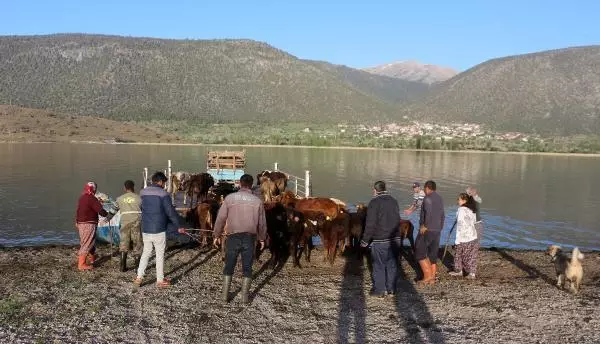 ISPARTA MADA ADASI'NDA YAŞAYANLARININ SALLA YAYLAYA GÖÇÜ BAŞLADI ISPARTA MADA ADASI'NDA YAŞAYANLARININ SALLA YAYLAYA GÖÇÜ BAŞLADI