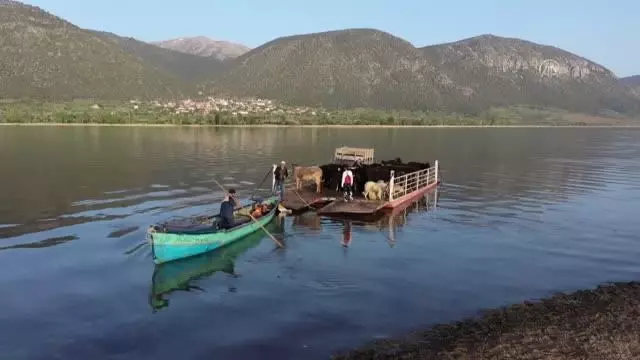 Mada Adası'ndaki Yörükler yaylaya kayıklarla çıkıyor Mada Adası'ndaki Yörükler yaylaya kayıklarla çıkıyor