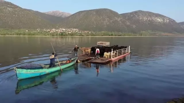 Mada Adası'ndaki Yörükler yaylaya kayıklarla çıkıyor Mada Adası'ndaki Yörükler yaylaya kayıklarla çıkıyor