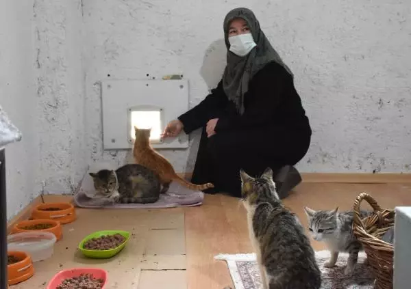 YAVRU KEDİ 'PAMUK'U SÜT ANNESİ EMZİRMEYE BAŞLADI YAVRU KEDİ 'PAMUK'U SÜT ANNESİ EMZİRMEYE BAŞLADI