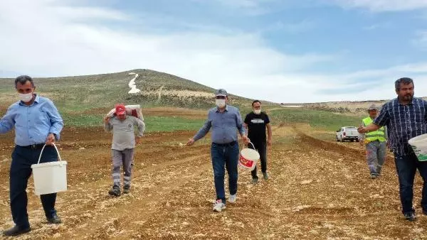 1700 RAKIMLI YAYLADA NOHUT EKİMİ ÖNCESİ TARLADA AY YILDIZ SİMGESİ OLUŞTURULDU 1700 RAKIMLI YAYLADA NOHUT EKİMİ ÖNCESİ TARLADA AY YILDIZ SİMGESİ OLUŞTURULDU