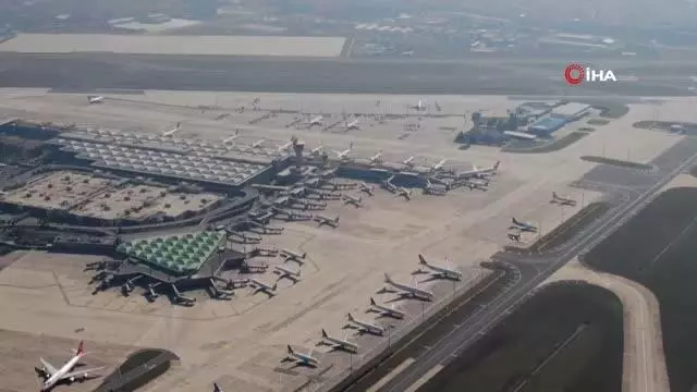 2020 yılında uçaklara 828 kez kuş çarptı 2020 yılında uçaklara 828 kez kuş çarptı