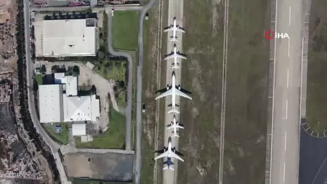 2020 yılında uçaklara 828 kez kuş çarptı 2020 yılında uçaklara 828 kez kuş çarptı