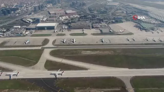 2020 yılında uçaklara 828 kez kuş çarptı 2020 yılında uçaklara 828 kez kuş çarptı