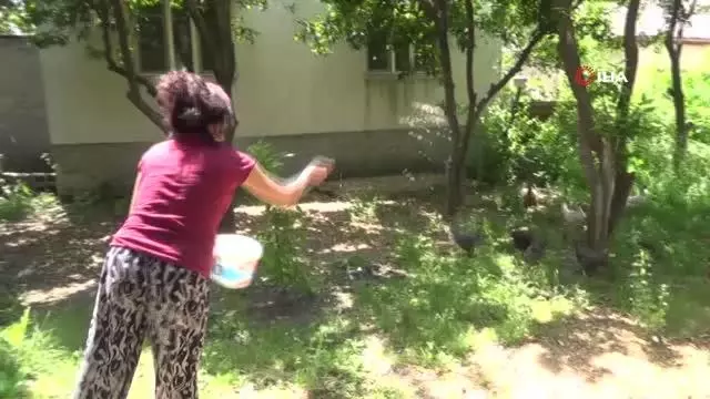 25 yıldır Türkiye'de kaçak yaşayan Rumen geline vatandaşlık yolu açıldı 25 yıldır Türkiye'de kaçak yaşayan Rumen geline vatandaşlık yolu açıldı