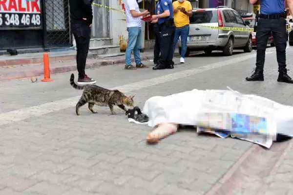 Ne olduysa saniyeler içinde oldu, 9 katlı binanın çatısından düşen kadın kurtarılamadı Ne olduysa saniyeler içinde oldu, 9 katlı binanın çatısından düşen kadın kurtarılamadı