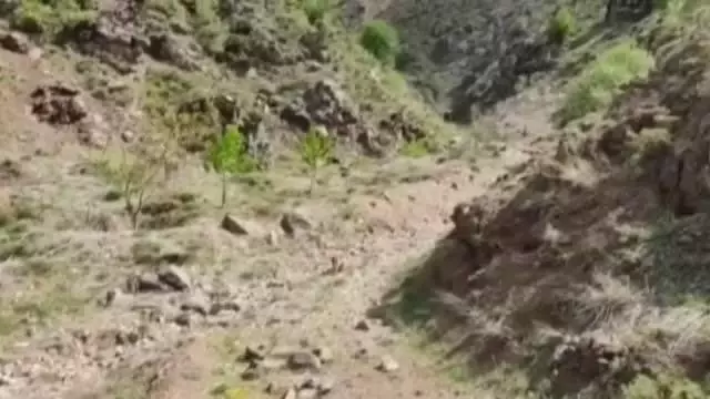 ADIYAMAN GÖLETE DÜŞEN DAĞ KEÇİSİ, JANDARMA TARAFINDAN KURTARILDI ADIYAMAN GÖLETE DÜŞEN DAĞ KEÇİSİ, JANDARMA TARAFINDAN KURTARILDI