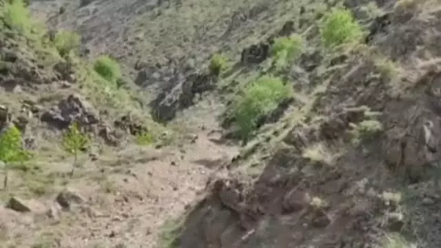 ADIYAMAN GÖLETE DÜŞEN DAĞ KEÇİSİ, JANDARMA TARAFINDAN KURTARILDI ADIYAMAN GÖLETE DÜŞEN DAĞ KEÇİSİ, JANDARMA TARAFINDAN KURTARILDI