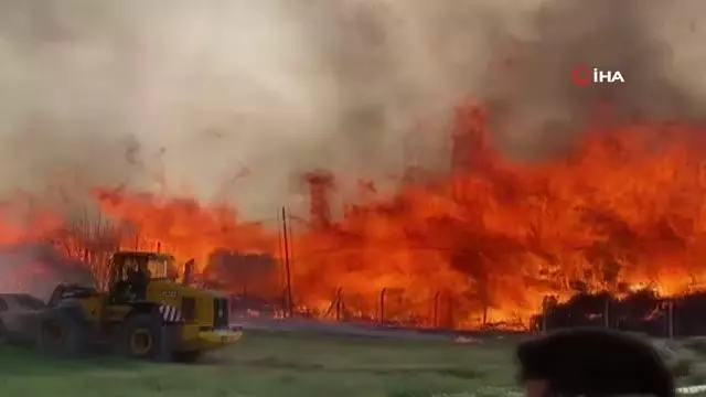 Biyokütle yakıtlı enerji santralindeki yangın 80 bin metrekarelik alanda sürüyor Biyokütle yakıtlı enerji santralindeki yangın 80 bin metrekarelik alanda sürüyor