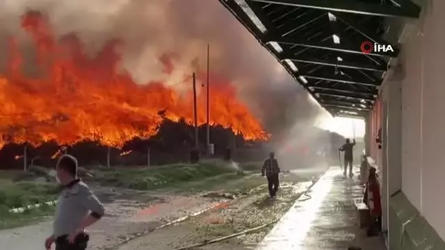 Biyokütle yakıtlı enerji santralindeki yangın 80 bin metrekarelik alanda sürüyor Biyokütle yakıtlı enerji santralindeki yangın 80 bin metrekarelik alanda sürüyor