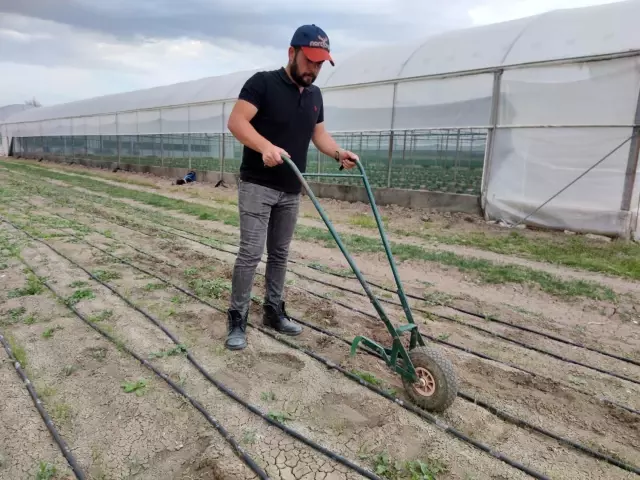Amasyalı genç çiftçinin seracılık merakı, hayatının dönüm noktası oldu Amasyalı genç çiftçinin seracılık merakı, hayatının dönüm noktası oldu