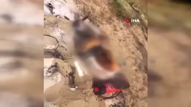 Antalya'da bunalıma giren genç hem kendini hem ormanı yaktı Antalya'da bunalıma giren genç hem kendini hem ormanı yaktı