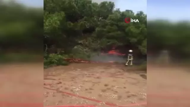 Antalya'da bunalıma giren genç hem kendini hem ormanı yaktı Antalya'da bunalıma giren genç hem kendini hem ormanı yaktı
