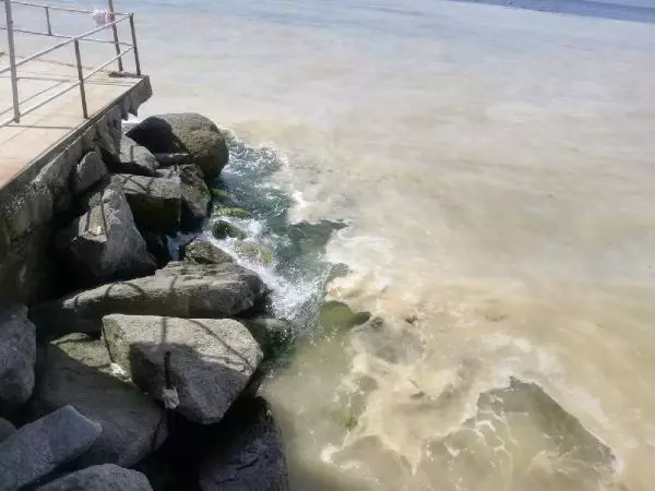 BALIKESİR AVŞA ADASI KIYILARINI DENİZ SALYASI KAPLADI BALIKESİR AVŞA ADASI KIYILARINI DENİZ SALYASI KAPLADI
