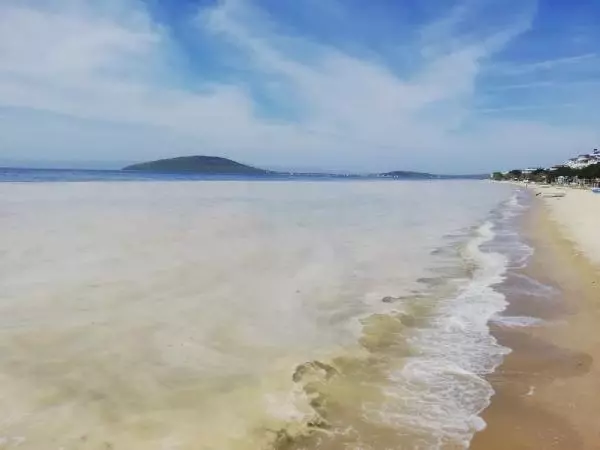 BALIKESİR AVŞA ADASI KIYILARINI DENİZ SALYASI KAPLADI BALIKESİR AVŞA ADASI KIYILARINI DENİZ SALYASI KAPLADI