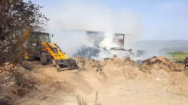 Son dakika! Aydın'da hayvan çiftliğinde yangın Son dakika! Aydın'da hayvan çiftliğinde yangın
