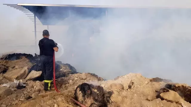 Son dakika! Aydın'da hayvan çiftliğinde yangın Son dakika! Aydın'da hayvan çiftliğinde yangın