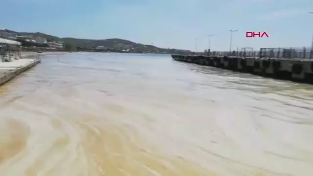 BALIKESİR AVŞA ADASI KIYILARINI DENİZ SALYASI KAPLADI BALIKESİR AVŞA ADASI KIYILARINI DENİZ SALYASI KAPLADI