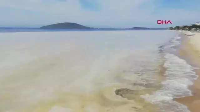 BALIKESİR AVŞA ADASI KIYILARINI DENİZ SALYASI KAPLADI BALIKESİR AVŞA ADASI KIYILARINI DENİZ SALYASI KAPLADI
