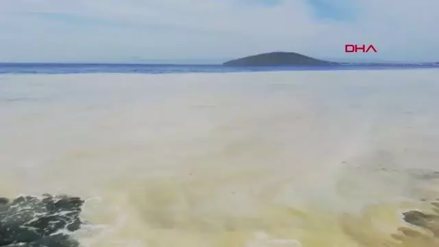 BALIKESİR AVŞA ADASI KIYILARINI DENİZ SALYASI KAPLADI BALIKESİR AVŞA ADASI KIYILARINI DENİZ SALYASI KAPLADI