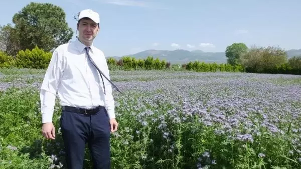 Balıkesir'de arıların bal üretebileceği bitkiler yetiştiriliyor Balıkesir'de arıların bal üretebileceği bitkiler yetiştiriliyor