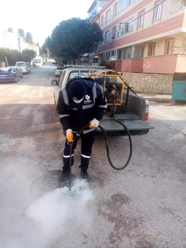 Bandırma'da haşere ile mücadele çalışmaları sürüyor Bandırma'da haşere ile mücadele çalışmaları sürüyor