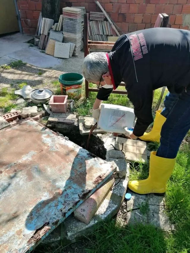 Bandırma'da haşere ile mücadele çalışmaları sürüyor Bandırma'da haşere ile mücadele çalışmaları sürüyor