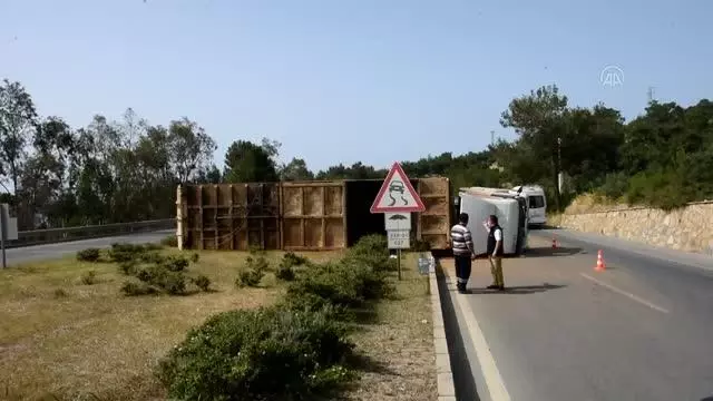 Bodrum'da devrilen tırın sürücüsü yaralandı Bodrum'da devrilen tırın sürücüsü yaralandı