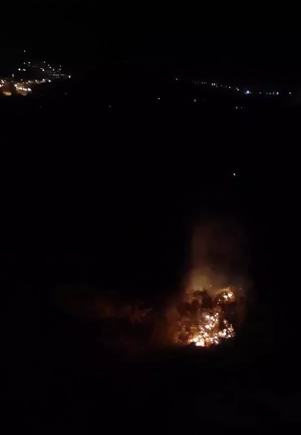 MUĞLA BODRUM'DA OTLUK VE MAKİLİK ALANDA YANGIN MUĞLA BODRUM'DA OTLUK VE MAKİLİK ALANDA YANGIN
