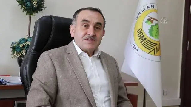 Bolu'da ormanda piknik yapanlara cezai işlem uygulanacak Bolu'da ormanda piknik yapanlara cezai işlem uygulanacak