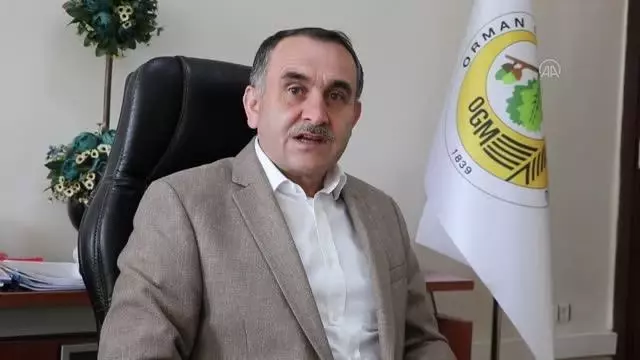 Bolu'da ormanda piknik yapanlara cezai işlem uygulanacak Bolu'da ormanda piknik yapanlara cezai işlem uygulanacak
