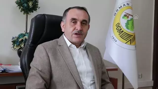 Bolu'da ormanda piknik yapanlara cezai işlem uygulanacak Bolu'da ormanda piknik yapanlara cezai işlem uygulanacak