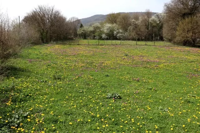 Bolu'da, tam kapanma yaylalara göçü azalttı Bolu'da, tam kapanma yaylalara göçü azalttı