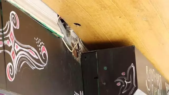 Büfenin çatısında sıkışan 3 yavru kedi cep telefonundan açılan kedi sesiyle kurtarıldı Büfenin çatısında sıkışan 3 yavru kedi cep telefonundan açılan kedi sesiyle kurtarıldı