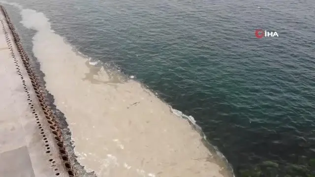 Caddebostan Sahili'nde deniz salyası tedirginliği artarak devam ediyor Caddebostan Sahili'nde deniz salyası tedirginliği artarak devam ediyor