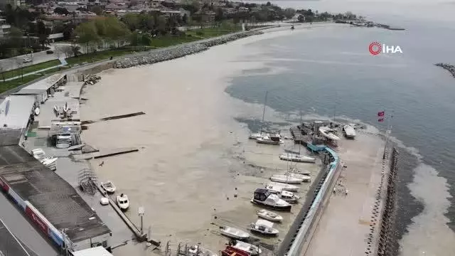 Caddebostan Sahili'nde deniz salyası tedirginliği artarak devam ediyor Caddebostan Sahili'nde deniz salyası tedirginliği artarak devam ediyor