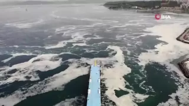 Çanakkale Boğazı deniz salyası ile kaplandı Çanakkale Boğazı deniz salyası ile kaplandı
